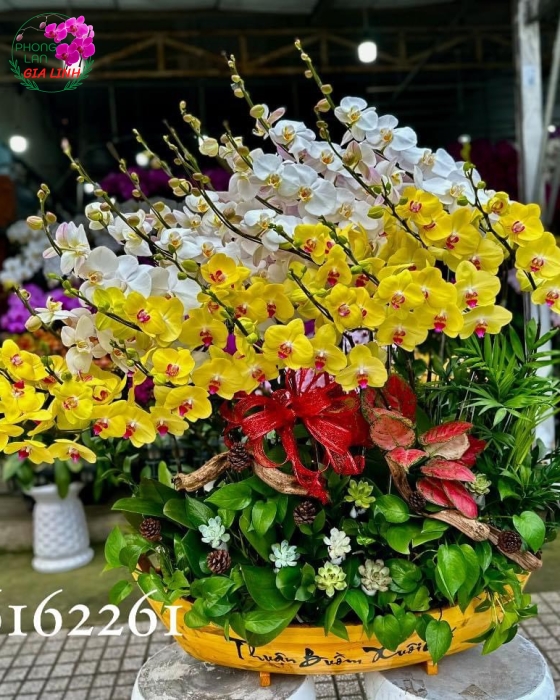 Thuyền Hoa Thuận Buồm Xuôi Gió Điều tốt đẹp