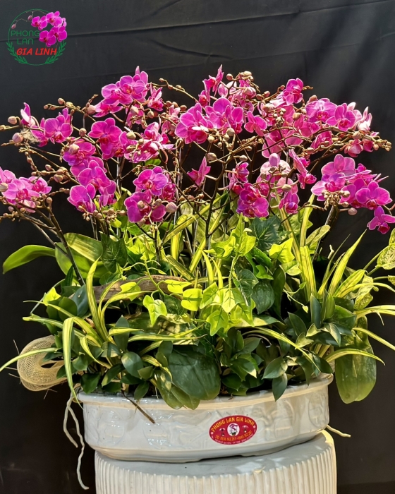 Thuyền Hoa Thuận danh thuận lợi