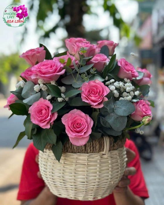 Ý nghĩa của các loại hoa thường được tặng vào ngày 20/10 là gì?