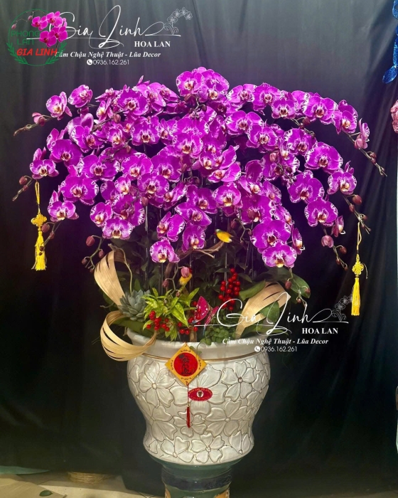 Top những hoa chưng tết lâu tàn, thu hút tài lộc 