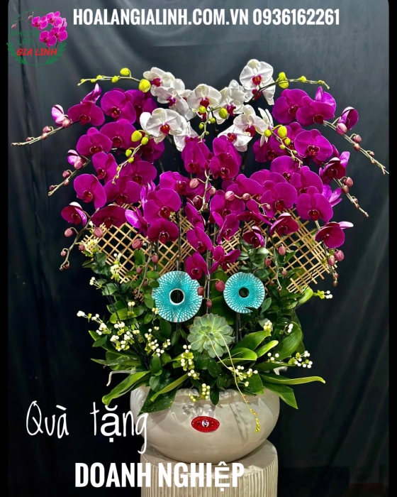 Nơi mua lan đẹp chơi tết uy tín, giá tốt tại Bình Dương